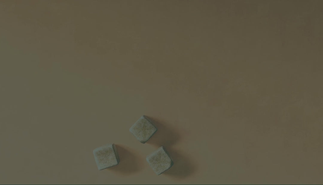 Five Stones Game